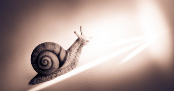 Snail,With,Arrow,business,Growth,Concept