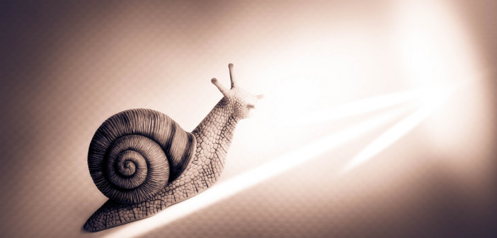 Snail,With,Arrow,business,Growth,Concept