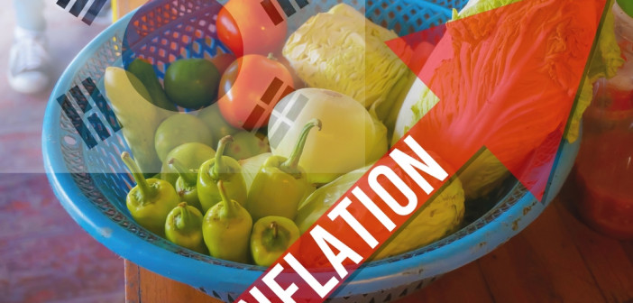Concept,Of,Korea,Inflation,,Economic,Crisis,And,Currency,Devaluation.basket,Contains