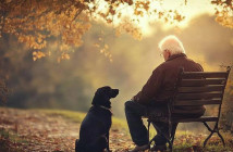 6 Steps to Get Emotionally Ready for Retirement
