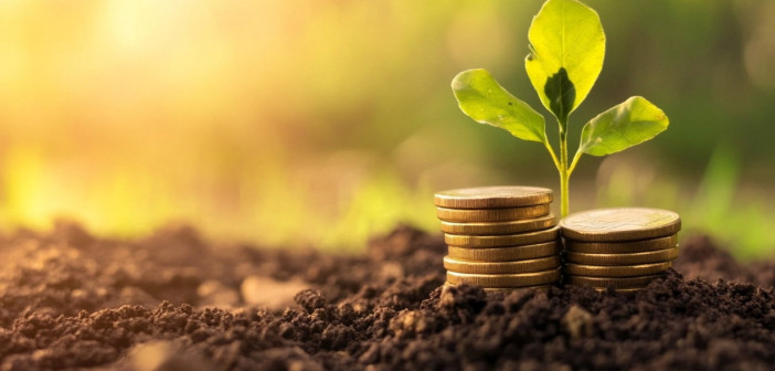 7 golden rules of personal finance everyone should know